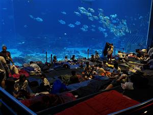 students in sleeping bags at Georgia Aquarium